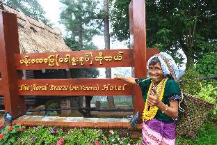 Kanpetlet Myanmar Booking Promo Code Agoda.com