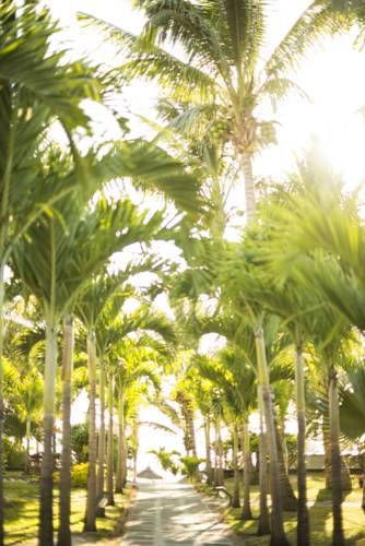Belle Mare Mauritius Booking
