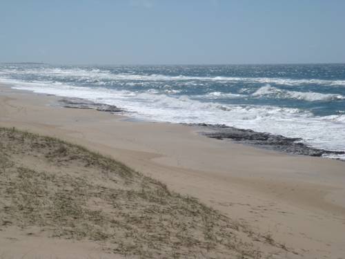 Rocha Uruguay Booking