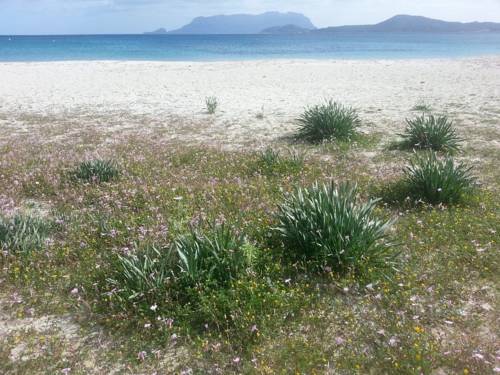 Olbia Italy Booking Promo Code Booking.com