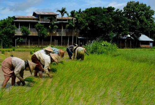 Taungoo Myanmar Booking Promo Code Booking.com