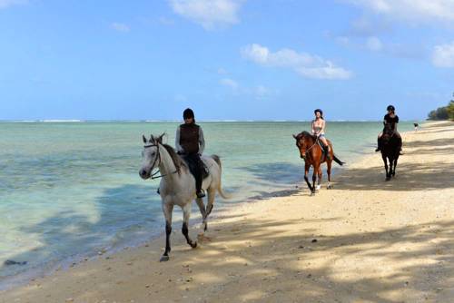 Villa Antema Souillac Mauritius Booking Promo Code Booking.com