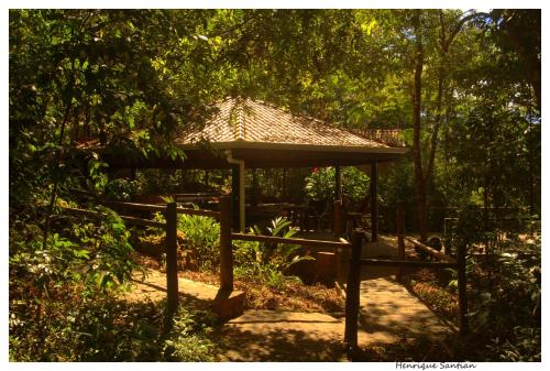 Chapada Dos Guimaraes Brazil Booking