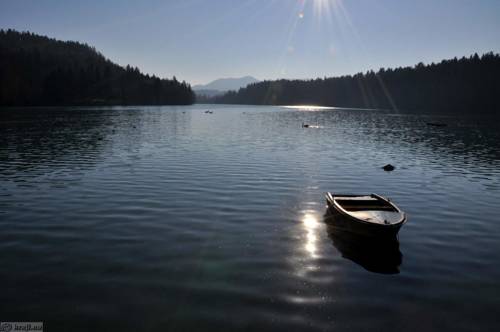 Zbilje Slovenia Booking Promo Code Booking.com